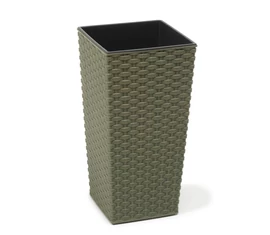 FINEZJA RATTAN