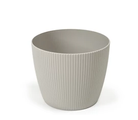 STANDARD KASPÓK